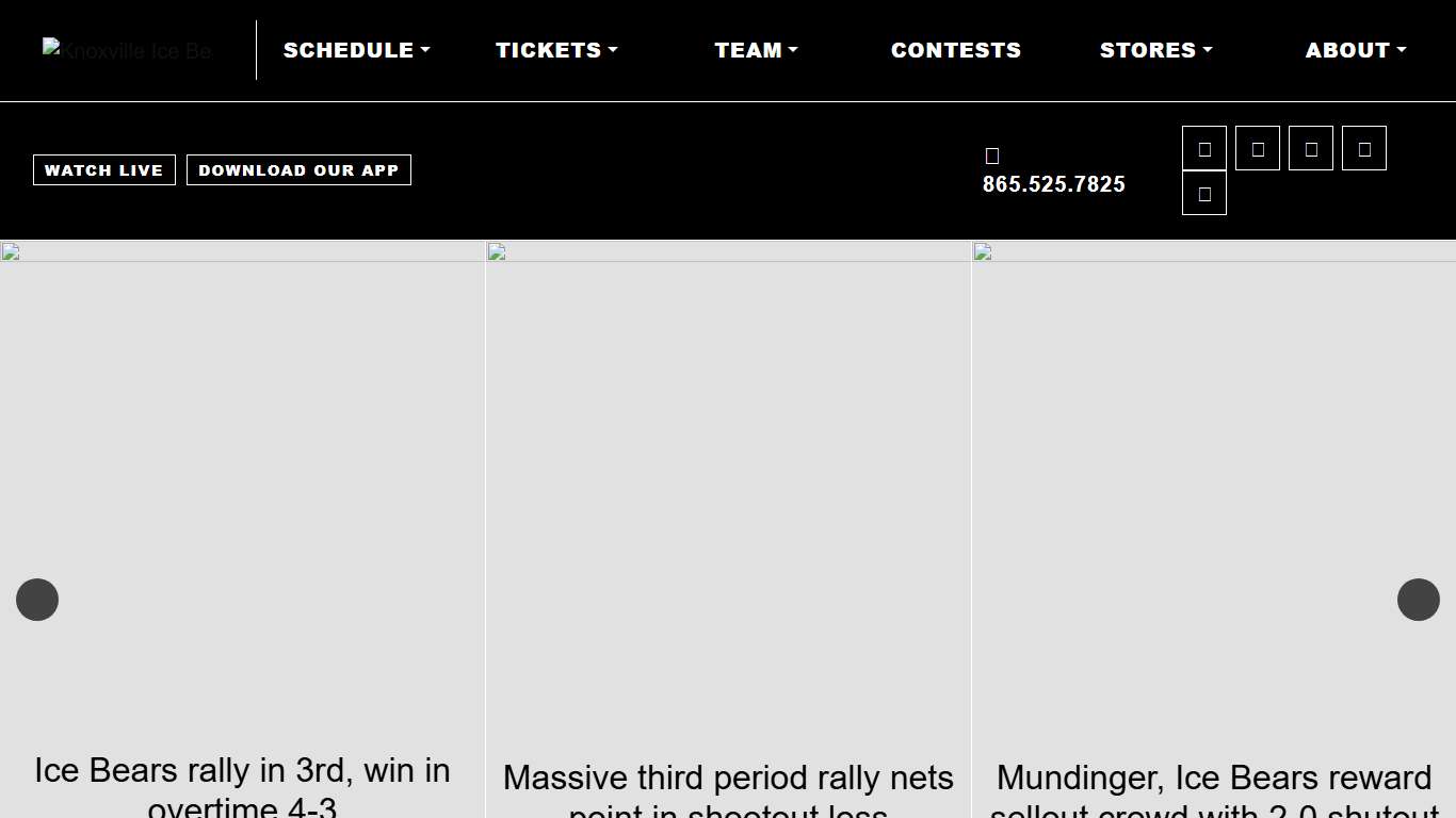 Knoxville Ice Bears Professional Hockey SPHL Hockey